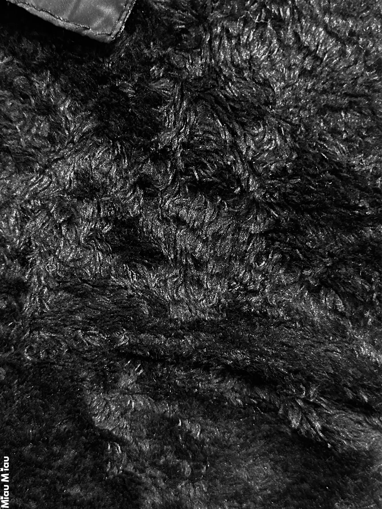 LJ24465 REEDICION 2167